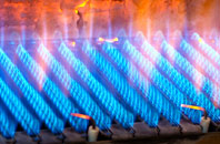 Lower Bordean gas fired boilers